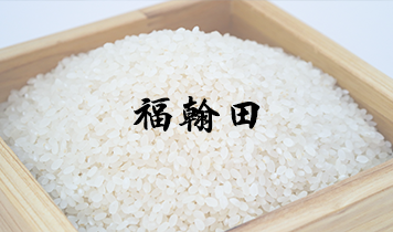 客户案例